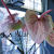 THEUN & bloemen Voorburg - bekijk foto 10